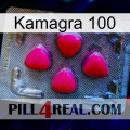 Kamagra 100 13